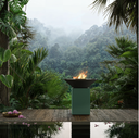 Chrome_Green_lifestyle_jungle_2.png